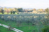 image07